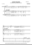 Super Trouper