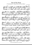 Tale Of The Wind - (Ending Theme From Heroes Of Mana)