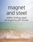 Magnet And Steel