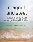 Magnet And Steel