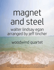 Magnet And Steel
