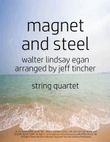 Magnet And Steel