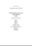 Mozart: Gallimathias musicum (Quodlibet) K32 - symphonic wind dectet/bass