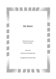 Steen, De