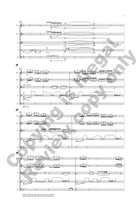 Syrian Folk Songs (Additional Full Score) String Orchestra scores gallery preview page 7