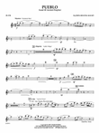 Pueblo (Land of Ancient Peoples) - Flute