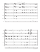 Penny Lane Steel Drum Band scores gallery preview page 3