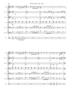 Penny Lane Steel Drum Band scores gallery preview page 5