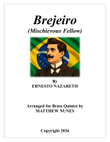 Brejeiro (Mischievous Fellow)