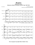 Brejeiro (Mischievous Fellow) Brass Quintet scores gallery preview page 3