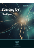 Bounding Joy