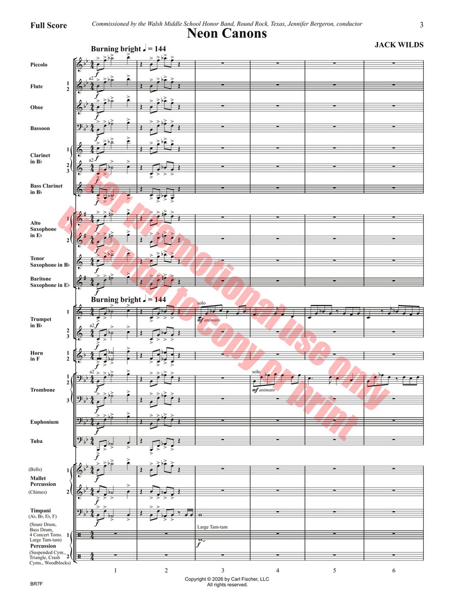 Neon Canons Concert Band - Sheet Music page 4