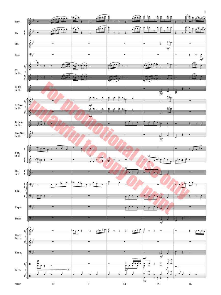 Neon Canons Concert Band - Sheet Music page 6