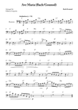 Ave Maria (Bach/Gounod)