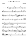 Ave Maria (Bach/Gounod)