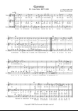 J. S. Bach 