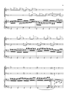 Eine kleine Nachtmusik 2nd Mov. 
