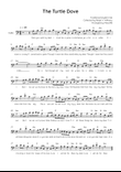 The Turtle Dove - Cello in Am Easy with Chords and Lyrics