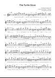 The Turtle Dove - Flute in Am Easy with Chords and Lyrics