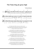 The Trees They do Grow High - Voice Lead Sheet in G Easy with Chords and Lyrics