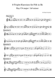 9 Triplet Exercises for Fife in B♭