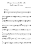 9 Triplet Exercises for Fife in B♭