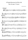 9 Triplet Exercises for Fife in B♭