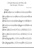 9 Triplet Exercises for Fife in B♭