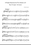 9 Triplet Exercises for Tin whistle in D