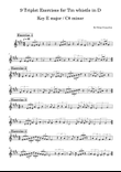 9 Triplet Exercises for Tin whistle in D