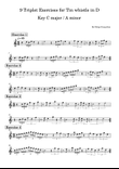 9 Triplet Exercises for Tin whistle in D