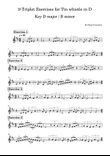 9 Triplet Exercises for Tin whistle in D