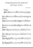 9 Triplet Exercises for Tin whistle in D