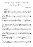 9 Triplet Exercises for Tin whistle in D