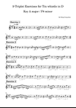 9 Triplet Exercises for Tin whistle in D