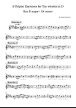 9 Triplet Exercises for Tin whistle in D