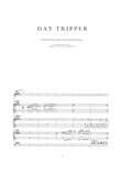 Day Tripper