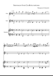 Intermezzo from Cavalleria rusticana. Flute, Violin and piano trio