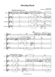 Morning Mood by Edvard Grieg - Flute quartet (Fl/Fl/AFl/BFl)