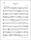 Mass in G major D 167