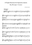 9 Triplet Exercises for Sopranino shawm