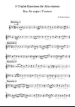 9 Triplet Exercises for Alto shawm