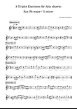 9 Triplet Exercises for Alto shawm