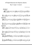 9 Triplet Exercises for Soprano shawm
