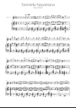 Tarantella Napoletana - Alto Flute Solo w/ Piano