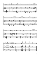 Tarantella Napoletana - Alto Flute Solo w/ Piano Flute Solo scores gallery preview page 3