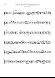 Tarantella Napoletana - Flute Solo