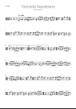 Tarantella Napoletana - Viola Solo