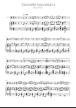 Tarantella Napoletana - Viola Solo w/ Piano