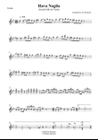 Hava Nagila - Violin Solo (with premium Backing Track)